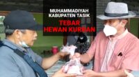 PDM Kabupaten Tasikmalaya Menebar 100 Ekor Sapi dan Satu Kerbau