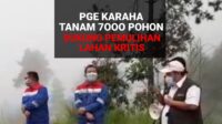 Pemulihan Lahan Kritis PGE Karaha Tanam 7000 Pohon