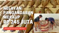 Luar Biasa! Sekali Melaut Meraup Rp 245 Juta