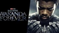 Black Panther 2: Wakanda Forever (2022)