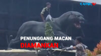 Ratusan Anggota Ormas Ditangkap