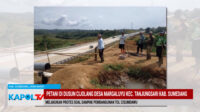 Luput Diantisipasi Petani Gagal Panen Dampak Tol  Cisumdawu