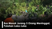 Bus Masuk Jurang 3 Orang Meninggal, Puluhan Luka-Luka