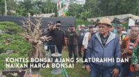 Kontes Bonsai Ajang Silaturahmi dan Naikan Harga