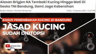 Panglima TNI Instruksikan Usut Tuntas Penembakan Kucing di Bandung