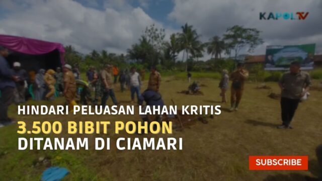 3.500 Bibit Pohon Ditanam Di Ciamari