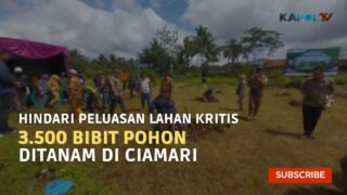 Hindari Peluasan Lahan Kritis, 3.500 Bibit Pohon Ditanam Di  Ciamari