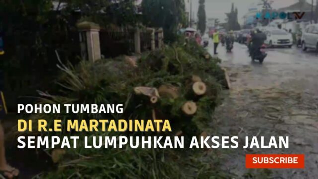 Pohon Tumbang di Jalan R.E Martadinata