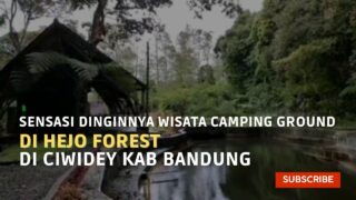 Sensasi Dinginnya Wisata Camping Ground Di Hejo Forest Ciwidey Kab Bandung