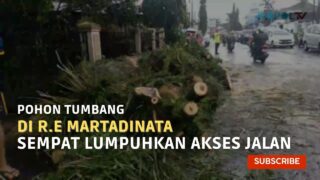 Pohon Tumbang di Jalan R.E Martadinata Sempat Lumpuhkan Akses Jalan