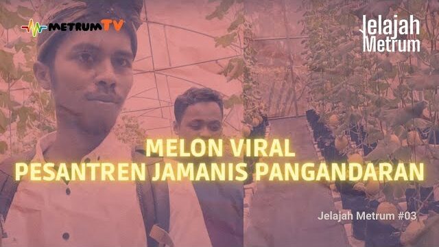 Melon Viral Pesantren Jamanis Pangandaran