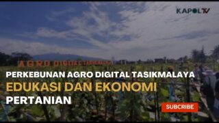 Perkebunan Agro Digital Tasikmalaya Edukasi Dan Ekonomi Pertanian