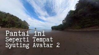 Tempat Syuting Film Avatar 2 di Pantai Inikah?