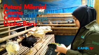 Petanai Milenial Ciamis Cetak Lapang Usaha Baru Dari Ternak Ayam