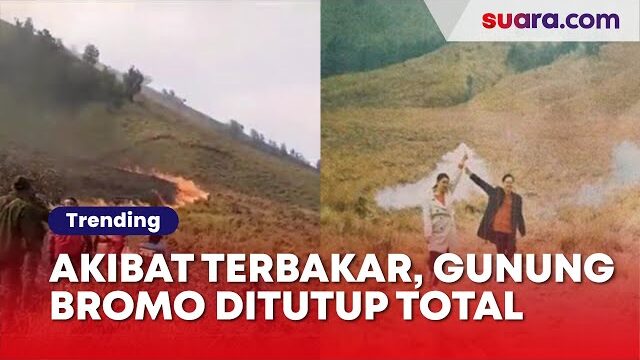 Kabar Terkini Kebakaran Gunung Bromo