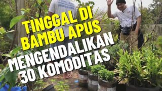 Langkah Ini Bisa Mencegah Impor Pangan