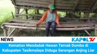 Diduga Diserang Anjing Liar, Ternak Domba Warga Mati Mendadak