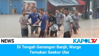 Kota Tasikmalaya Dikepung Banjir, Warga Temukan Seekor Ular