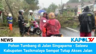 Pohon Tumbang Di Jalan Singaparna Salawu Kabupaten Tasikmalaya Sempat Tutup Akses Jalan