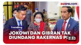Jokowi dan Gibran Tak Diundang di Rakernas PDI Perjuangan, Djarot Singgung Soal Etika dan Moral
