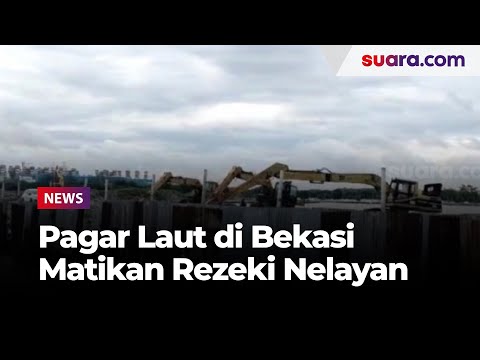 Pagar Laut di Bekasi Sudah Dipatok Hampir Setahun Lalu