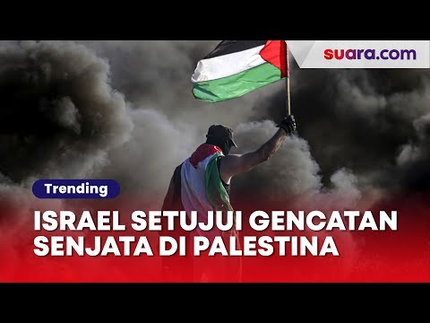 4 Fakta Israel Setujui Gencatan Senjata di Palestina