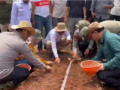 Ciamis Mulai Kembangkan Bawang Merah, Lahan Ditargetkan Meluas hingga 50 Hektare