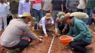 Ciamis Mulai Kembangkan Bawang Merah, Lahan Ditargetkan Meluas hingga 50 Hektare