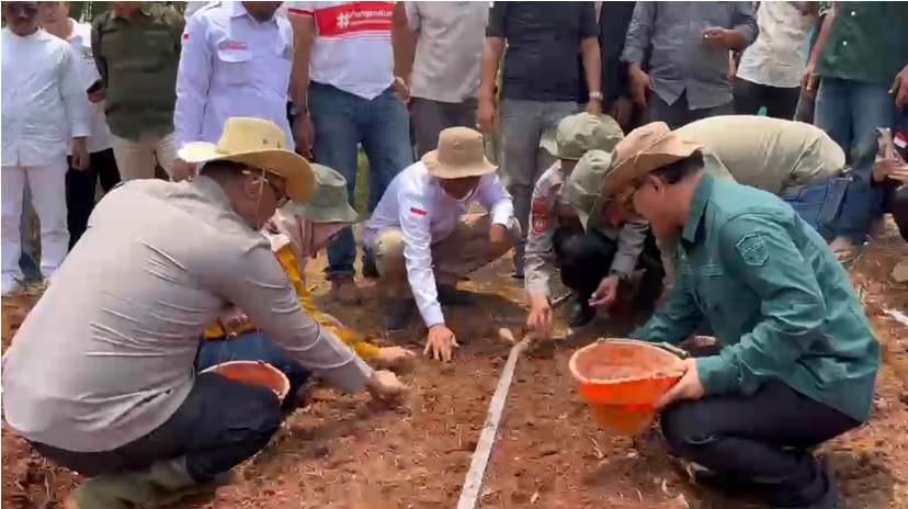 Ciamis Kembangkan Bawang Merah