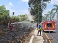BPBD Kota Tasikmalaya catat 144 kasus kebakaran lahan, 71 di antaranya disengaja