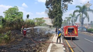 BPBD Kota Tasikmalaya catat 144 kasus kebakaran lahan, 71 di antaranya disengaja