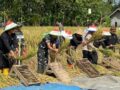 Tembus 4,1 Juta Ton, Stok Beras Bulog Resmi Pecahkan Rekor