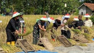 Tembus 4,1 Juta Ton, Stok Beras Bulog Resmi Pecahkan Rekor