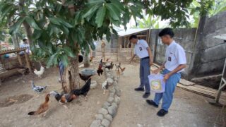 Kreatif! SMAN 6 Tasikmalaya Sulap Sisa Makanan MBG dan Sampah Organik Jadi Pakan Ternak hingga Maggot