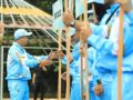 Bonus Atlet Porprov 2026, Pemkot Tasikmalaya Siapkan Rp100 Juta untuk Peraih Emas