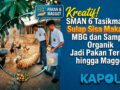 SMA 6 Tasikmalaya Sulap Sisa Makanan MBG dan Sampah Organik Jadi Pakan Ternak Hingga Magot